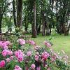 Oaks Park picnic area. elopement site. Oregon wedding minister