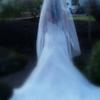 back of wedding gown, veil, train