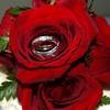 wedding rngs in rose bud