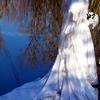 young bride posing by waters edge by Beverly Mason