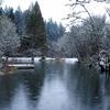 pond in winter