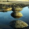 stones across sand