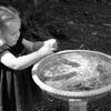 little girl playing in bird bath water